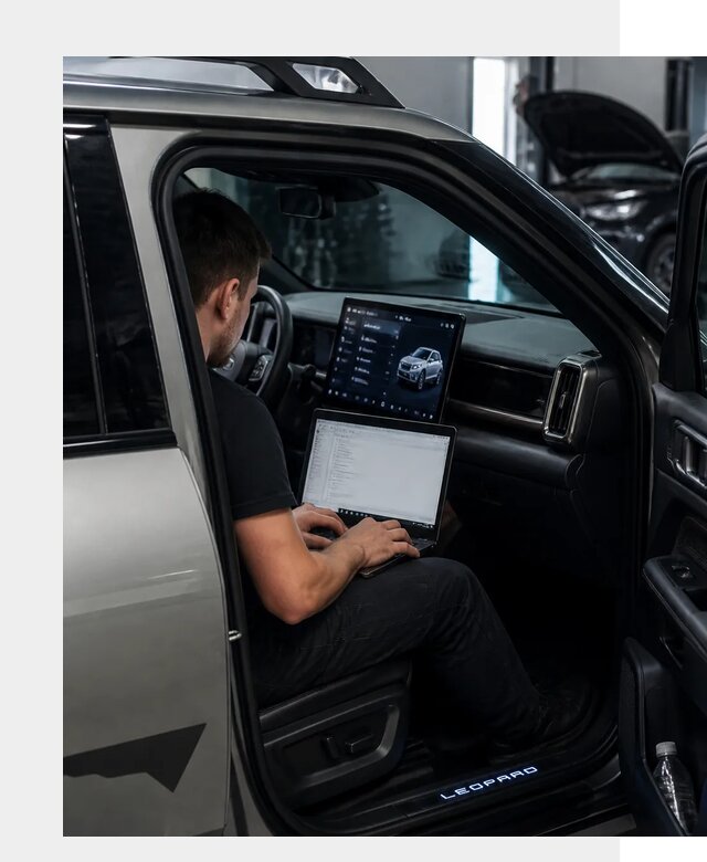 Русификация BYD Leopard 3 в Чапаевске по цене от 20328 р. | ФастМобиль-Чпв