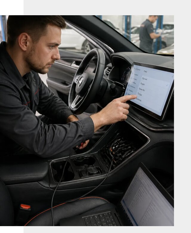 Профессиональная русификация BYD SONG Plus в Чапаевске